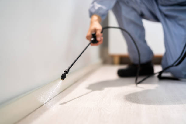Professional exterminator conducting IPM assessment in Granby